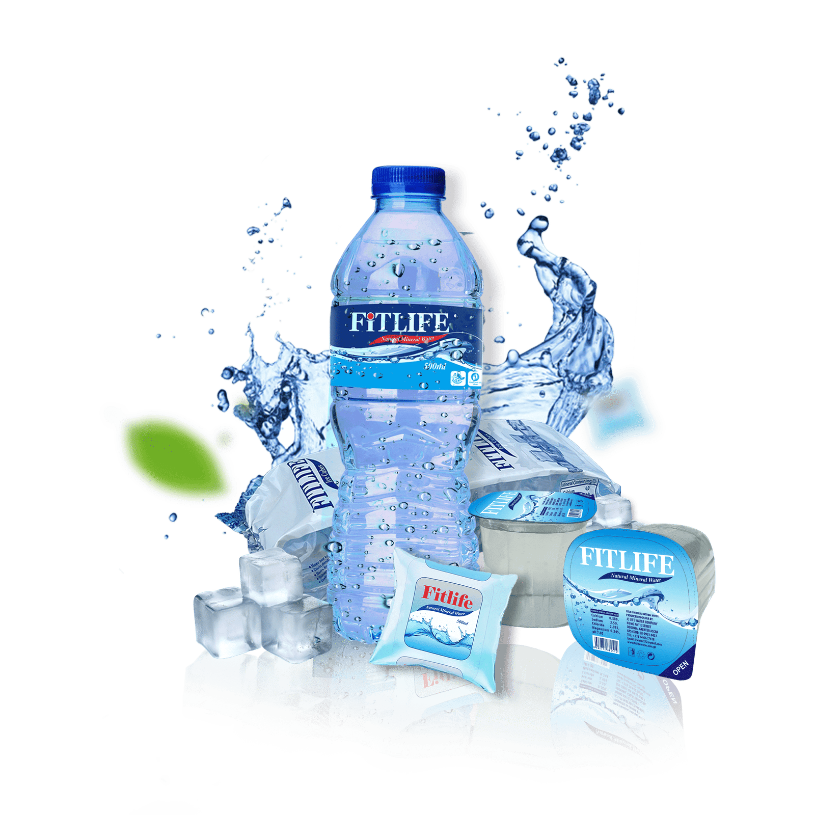 site p (1) (2) fitlife all products